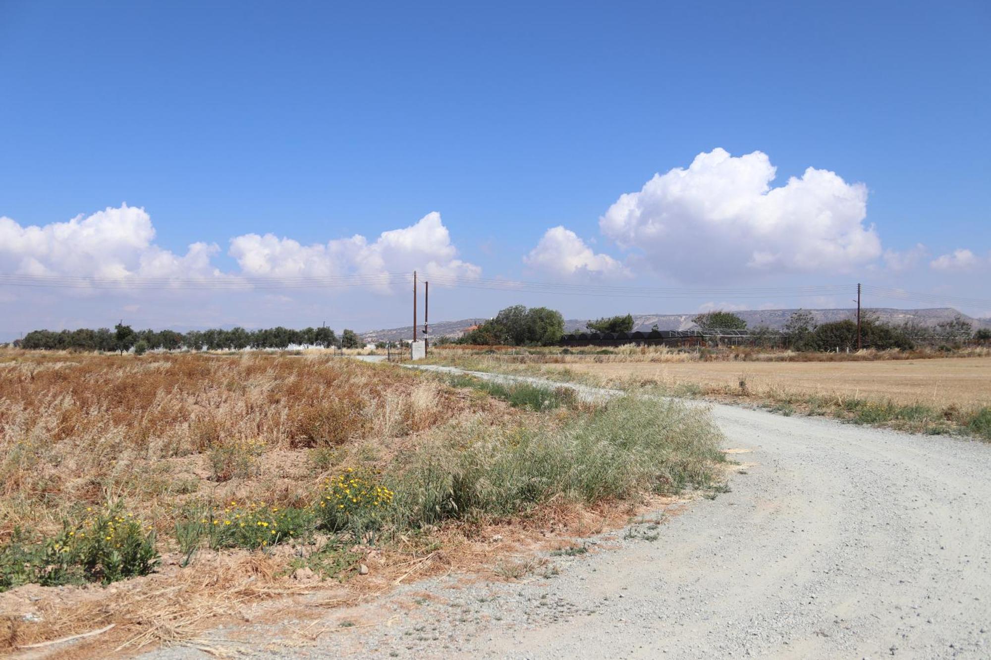 Summer Dream Cyprus Maroni Luaran gambar