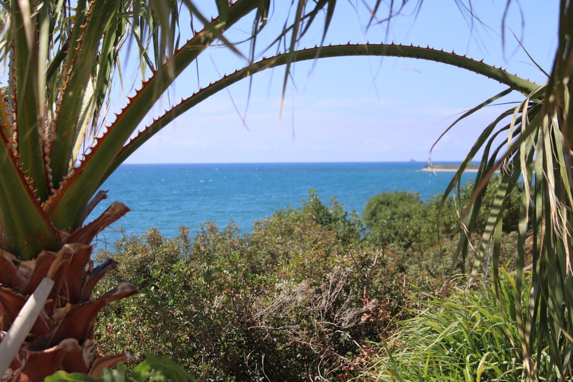 Summer Dream Cyprus Maroni Luaran gambar